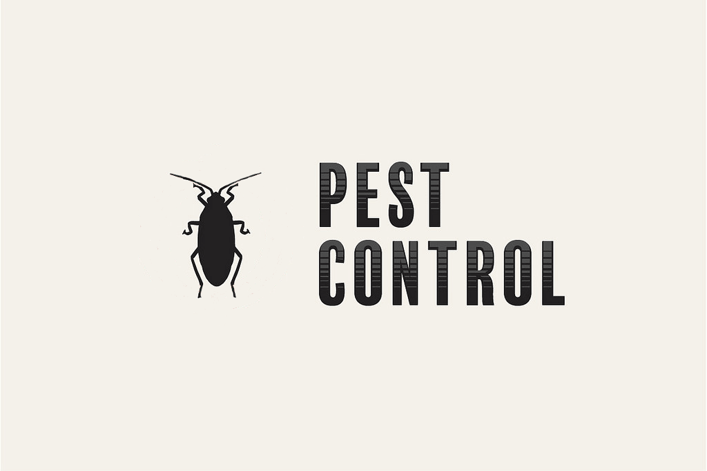 Cleanto Pest Control Service